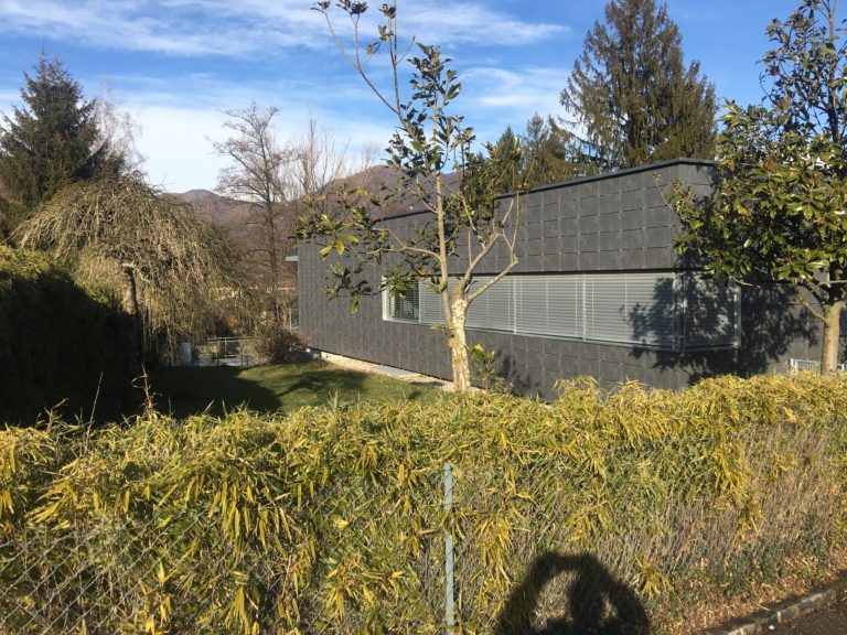 Neubau: Einfamilienhaus mit Edelstahl-Schwimmbad in Origlio -Tessin